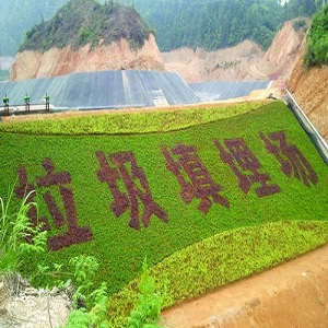 防滲膜規范(防滲膜施工規范指南) 防滲膜規范(防滲膜施工規范指南)